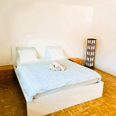 3 Flat With Balcony In Zurich, Kar Apartment Zurich